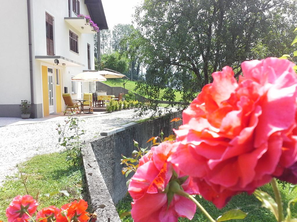 Apartment Zadraga โทลมิน ภายนอก รูปภาพ